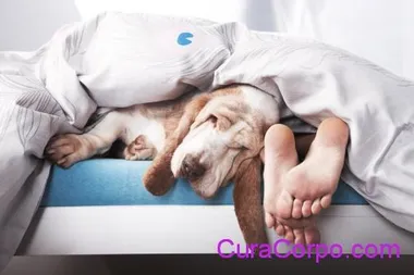 Buon sonno by CuraCorpo.com