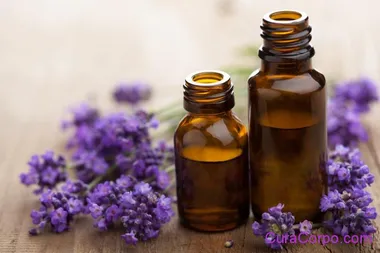 L’Olio di Enotera: proprietà, usi e benefici su viso e corpo