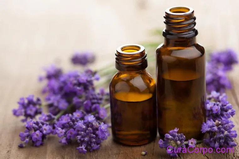 L’Olio di Enotera: proprietà, usi e benefici su viso e corpo