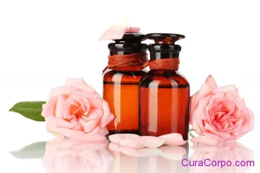 Olio di Rosa Mosqueta: usi, proprietà e benefici per viso e corpo