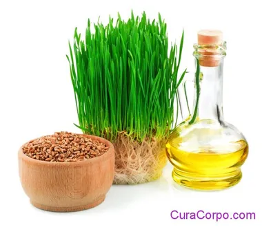 Olio di Germe di Grano: benefici e usi per la bellezza di viso e corpo