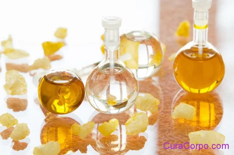 Olio di Jojoba: tutte le propietà e 7 usi su viso e corpo