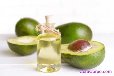 Olio di Avocado: tutti gli usi dell’alleato di bellezza